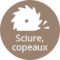 Sciure et copeaux bois